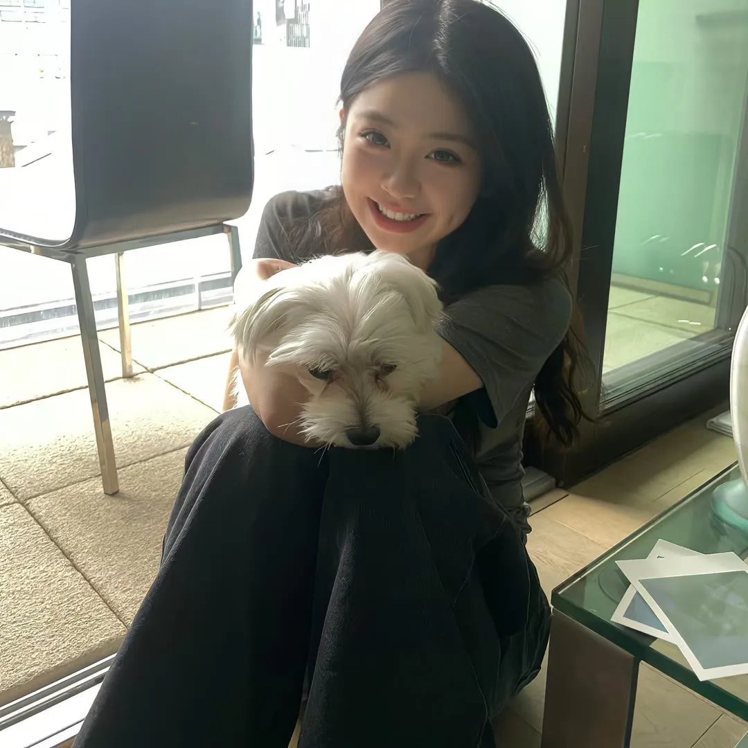 泰迪熊