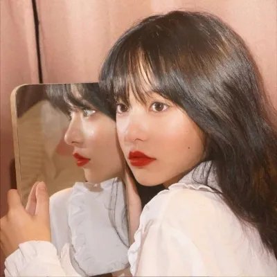 美的世界